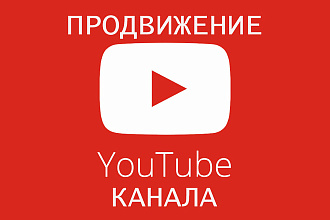 Комплексное продвижение на Ютуб 1000 просмотров видео, лайки, репосты