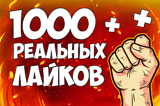 1000 реальных лайков в Вконтакте