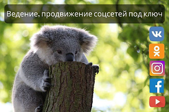 Продвижение в Instagram