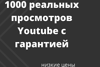 1000 реальных просмотров Youtube с гарантией