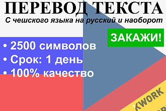 Перевод текста с чешского языка на русский и наоборот