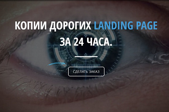 Скопирую любой Landing Page(Посадочную страницу) или небольшой сайт
