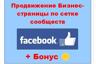 Facebook продвижение бизнес страницы - Реклама по моей сетке сообществ