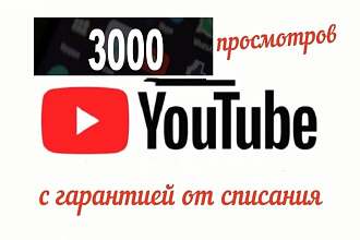 3000 просмотров видео на YouTube