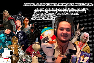 Актёр Озвучания для Анимационных Персонажей, Мультяшные голоса