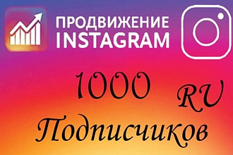 В день 500 подписчиков