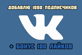 Добавлю 1000 подписчиков в группу или паблик Вконтакте + 100 лайков