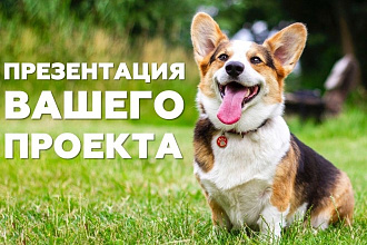 Сделаю классную презентацию для учёбы или бизнеса