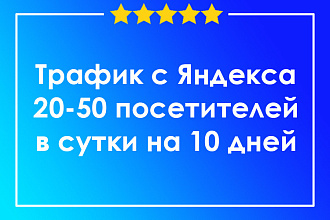 Трафик на сайт с Яндекса на 10 дней
