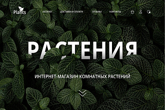 Разработка логотипа