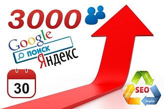 Качественный поисковый трафик от 80 до 100 в сутки целый месяц