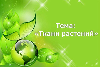 Презентацыя на любую тему