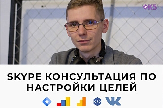 Skype консультация по настройки целей Google Tag Manager YM, GA, FB
