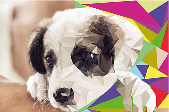 Нарисую полигональный дизайн В Adobe Ilustrator 2020