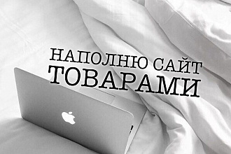 Наполню интернет-магазин товаром - 100 позиций