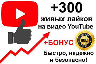 Добавлю 300 живых лайков на YouTube