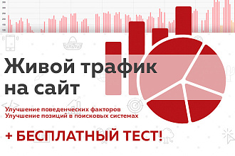 Живой трафик на сайт - улучшение поведенческих факторов и позиций