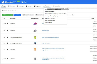 Разработка интернет-магазина на популярной Moguta. CMS