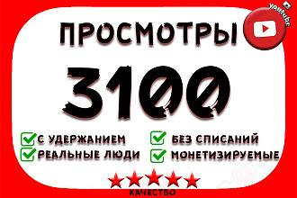 3100 реальных просмотров youtube