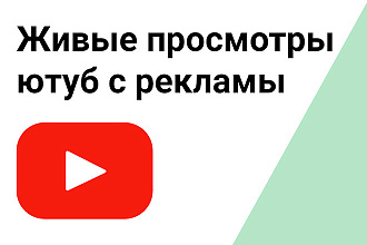 Живые просмотры ютуб с рекламы со всего мира Google Ads