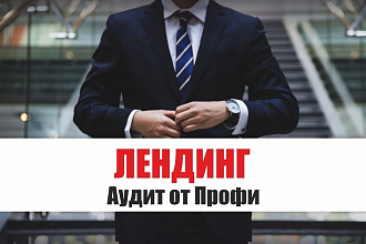 Лендинг - Аудит от Профи - анализ, оценка лендинга или страницы сайта