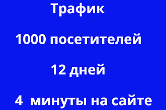 Поведенческий трафик 1000 посетителей от 4 до 5 минут . 12 дней