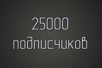 25000 подписчиков Instagram