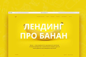 Качественная копия Landing страницы