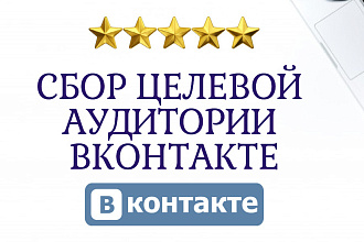 Соберу и отфильтрую целевую аудиторию Вконтакте