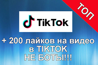 200 лайков от реальных людей на ваше видео в TikTok. Не боты