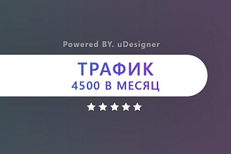 Качественный поисковый трафик от 150 в сутки целый месяц