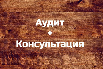 Анализ сайта от веб-студии + консультация по продвижению