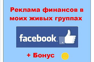Реклама финансов в Facebook - Объявление в ленте больших страниц