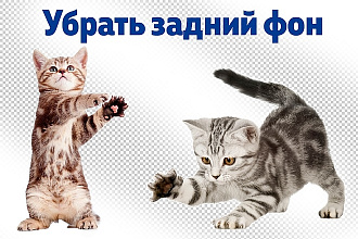Убрать зданий фон фотографии или изменение фона