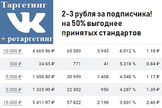 Настрою вам дешёвую и эффективную таргетинговую рекламу