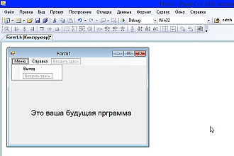 Напишу программу Windows Forms с исходным кодом