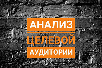 Анализ ЦА. общий и псиxоанализ, проработка аватара,сегментация