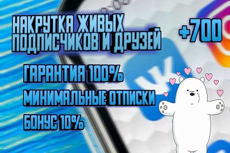 700 качественных подписчиков или друзей ВК без ботов