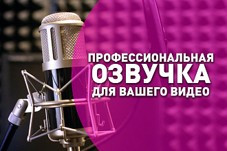 Озвучивание текстов