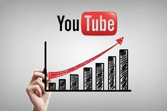 3000 просмотров видео на YouTube. Бонус -100 лайков