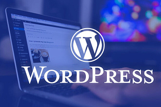 Wordpress developer