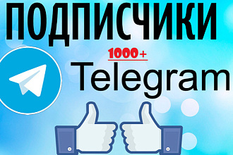 1000+ Подписчиков на Ваш Телеграм канал. Живые люди офферы