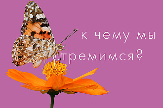 Дизайн веб страницы