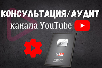 Индивидуальный Аудит канала YouTube