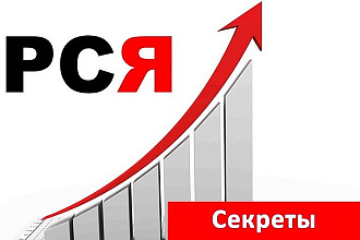 Занимаюсь настройкой и ведением контекстной рекламы в Яндекс. Директ