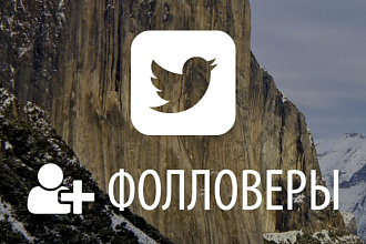 Фолловеры в Twitter 500 человек