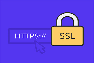 Установлю SSL сертификат для вашего сайта