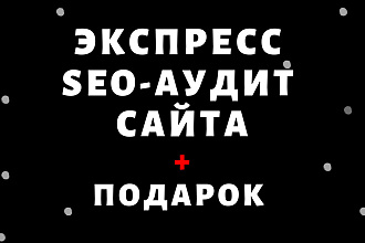 Экспресс аудит сайта, в подарок ценный чек лист