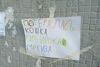 Отредактирую текст