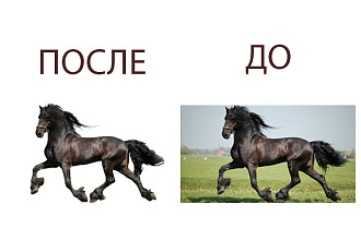Удаление фона изображений любой сложности
